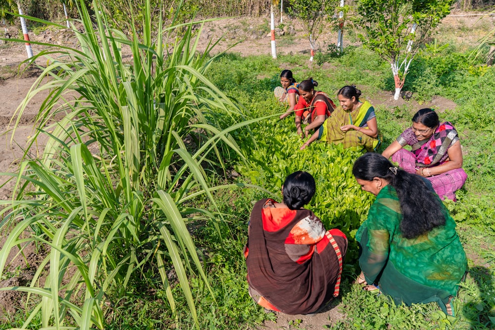 a group of women sitting in a field