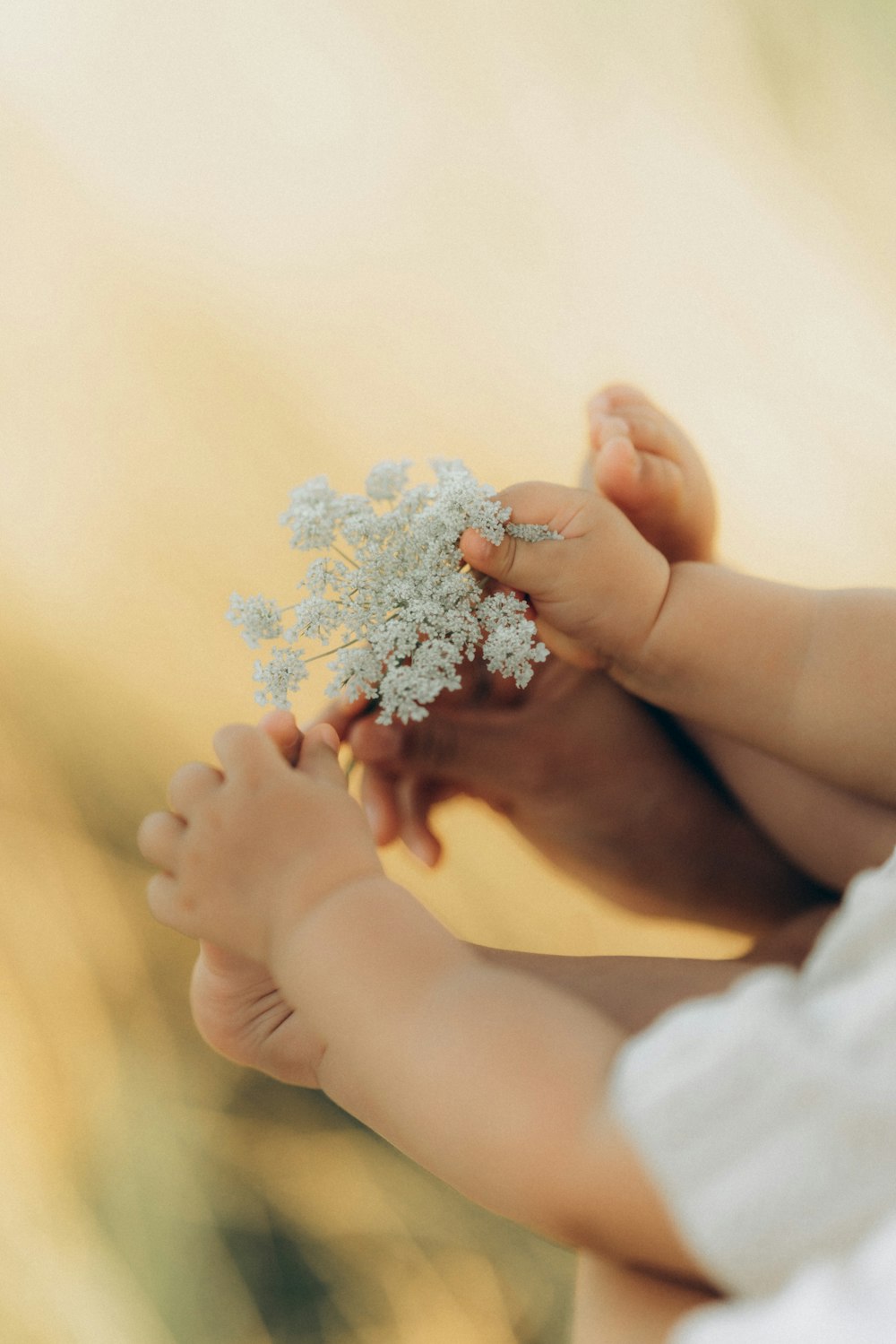 a close up of a person holding a baby's hand