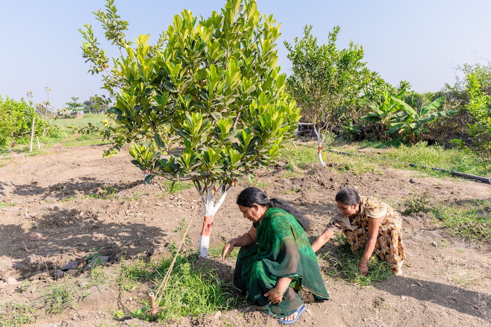 a couple of women kneeling next to a tree