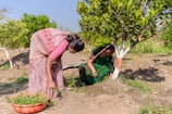 a couple of women standing next to a tree