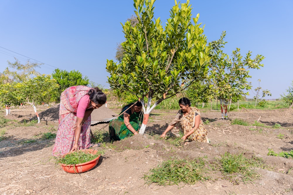 a group of women standing around a tree