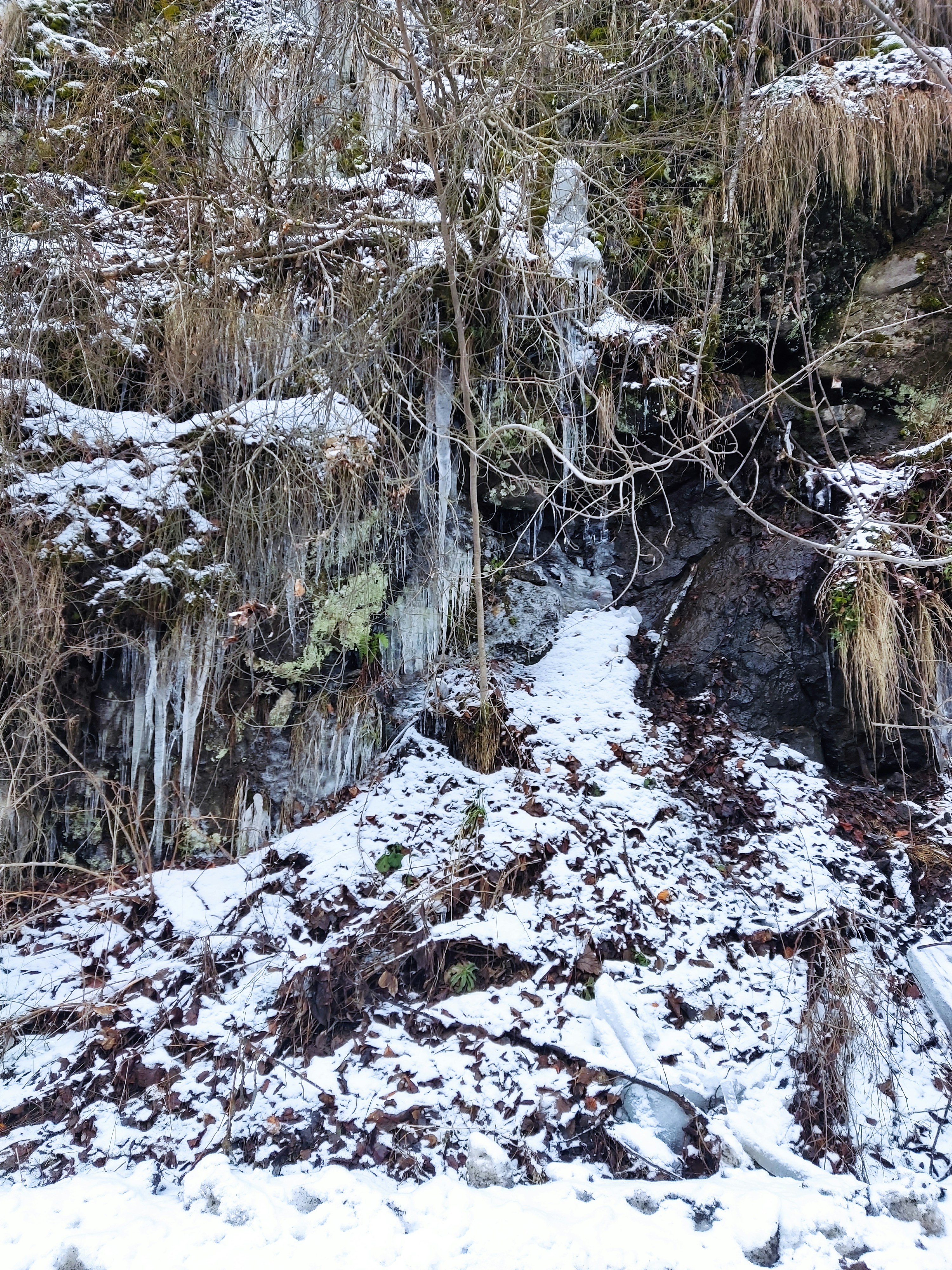 Photo by alex_praytor