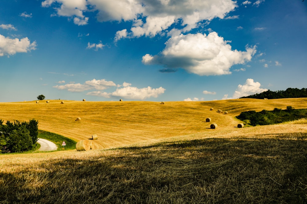 a field of hay with bales of hay in the foreground