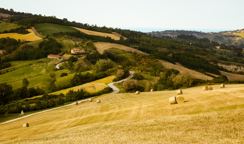 a field with bales of hay in the foreground