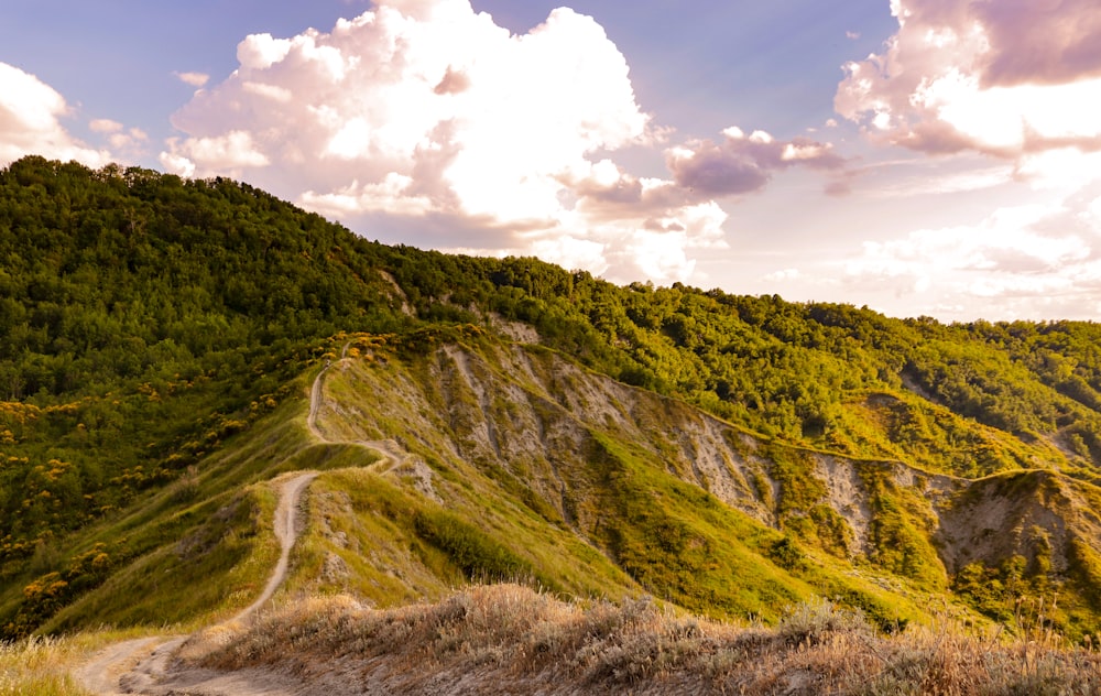 a dirt road going up a mountain side