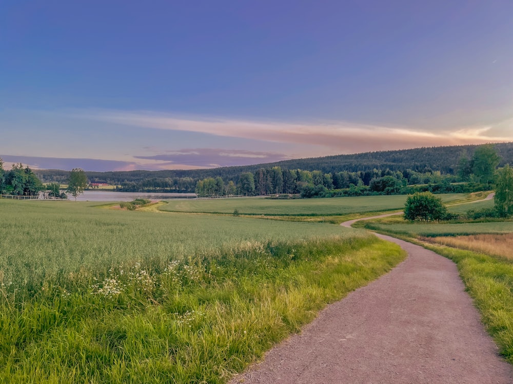 a dirt path winds through a grassy field