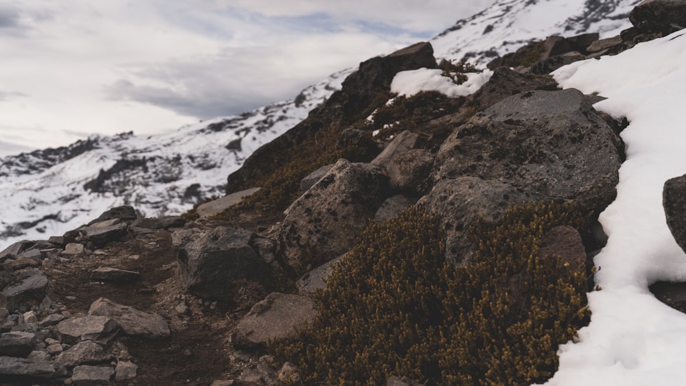 a snow covered mountain with rocks and plants