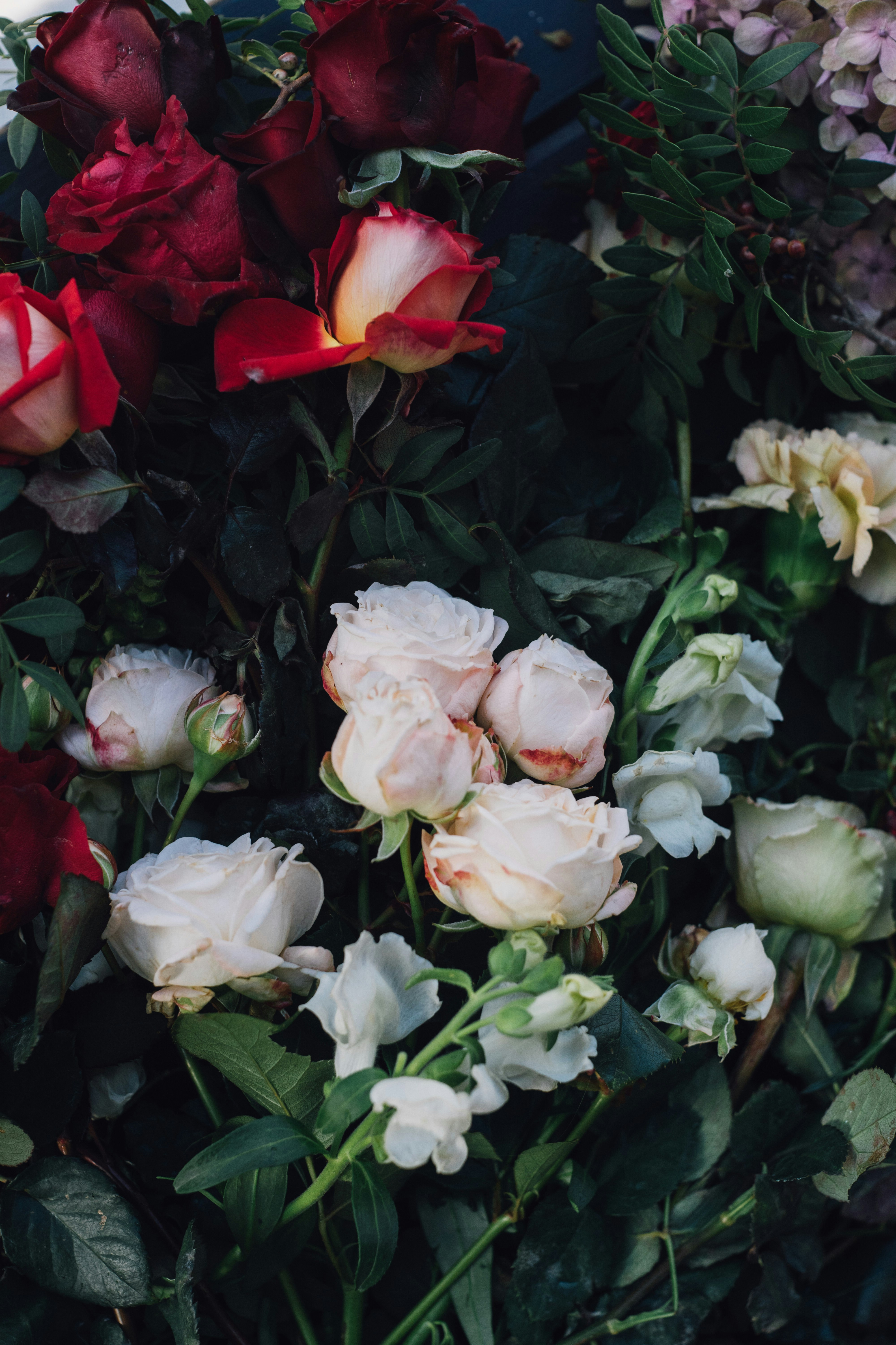 Photo by gloriaviktoriia