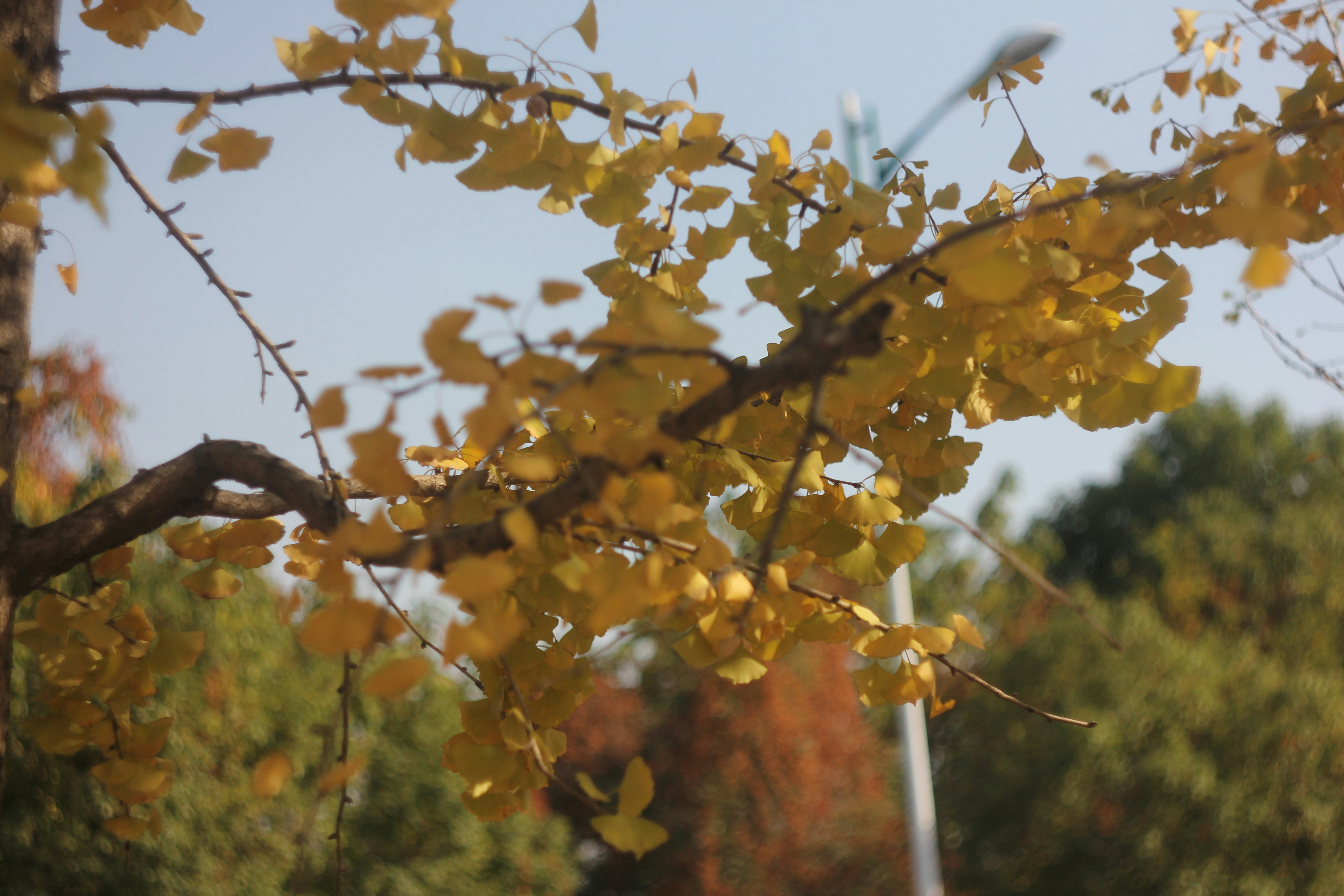 Photo by uttam_kumar