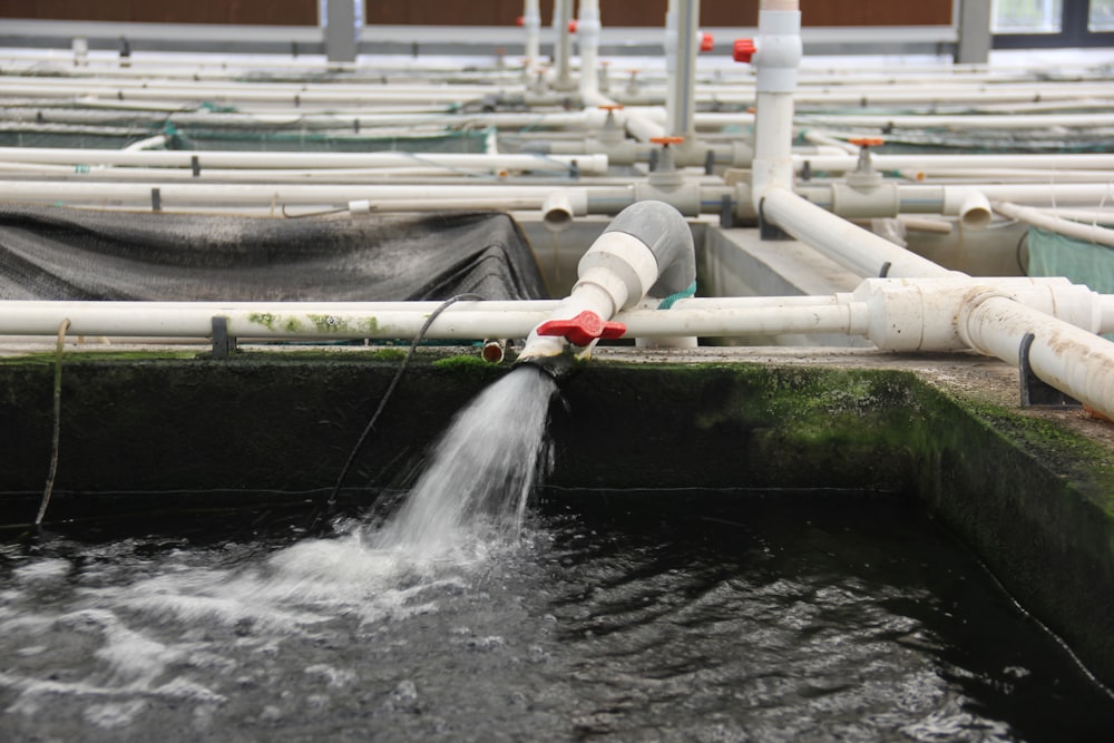 a large group of pipes with water coming out of them