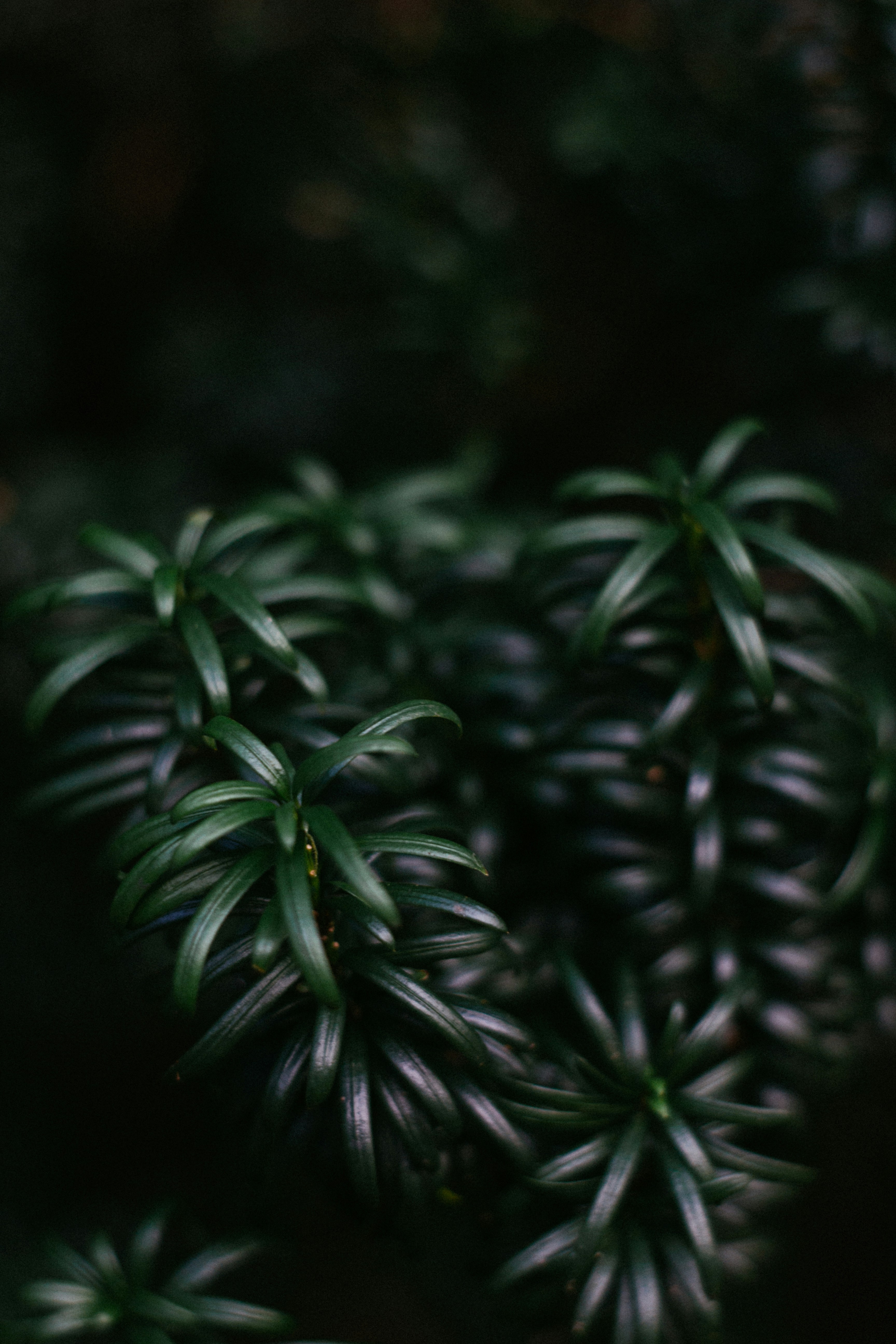 Photo by gloriaviktoriia