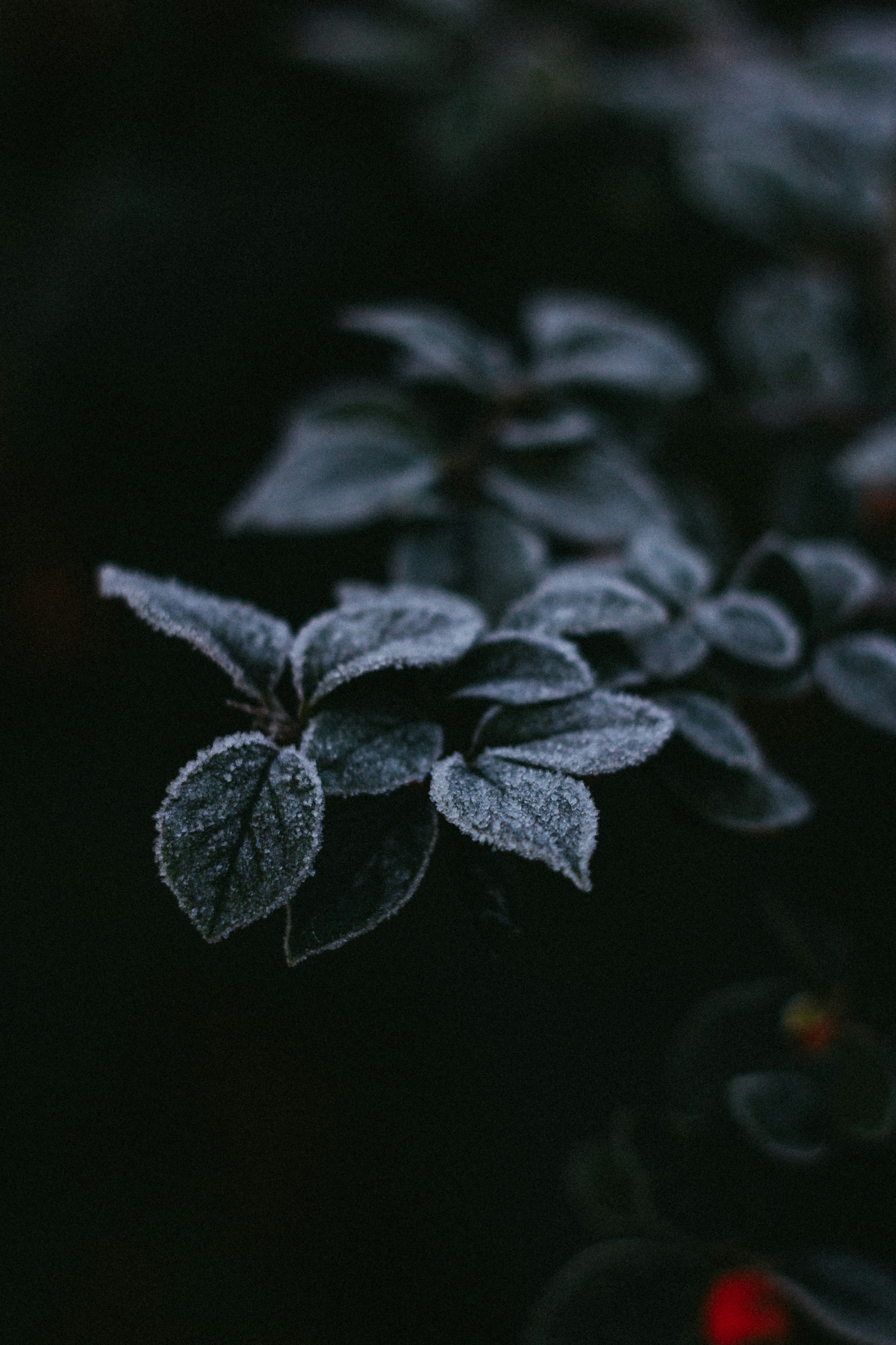 Photo by gloriaviktoriia