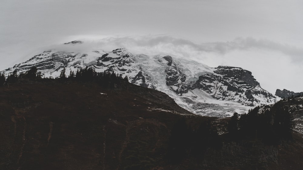 a mountain covered in snow and surrounded by trees