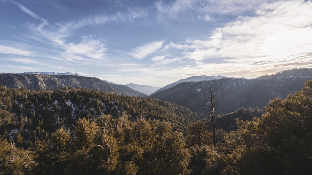 a view of a mountain range with trees and mountains in the background