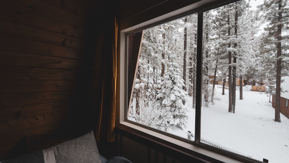 a window with a view of a snowy forest