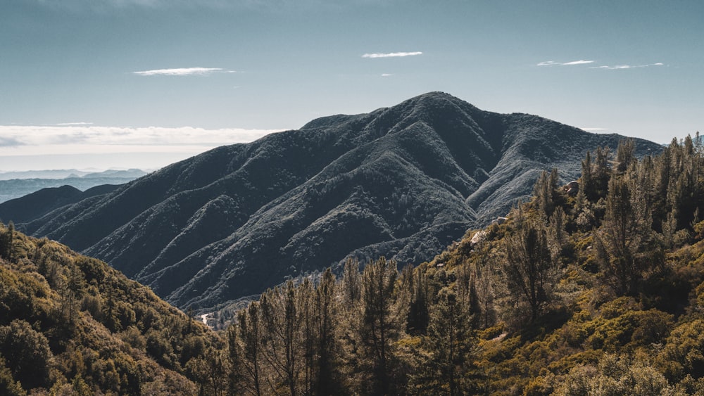 a view of a mountain range from the top of a hill