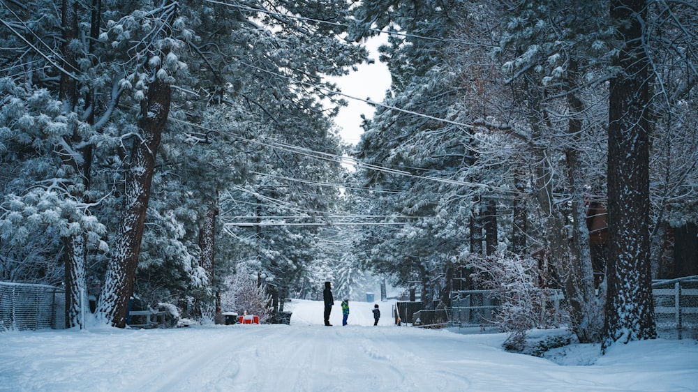 a couple of people walking down a snow covered road