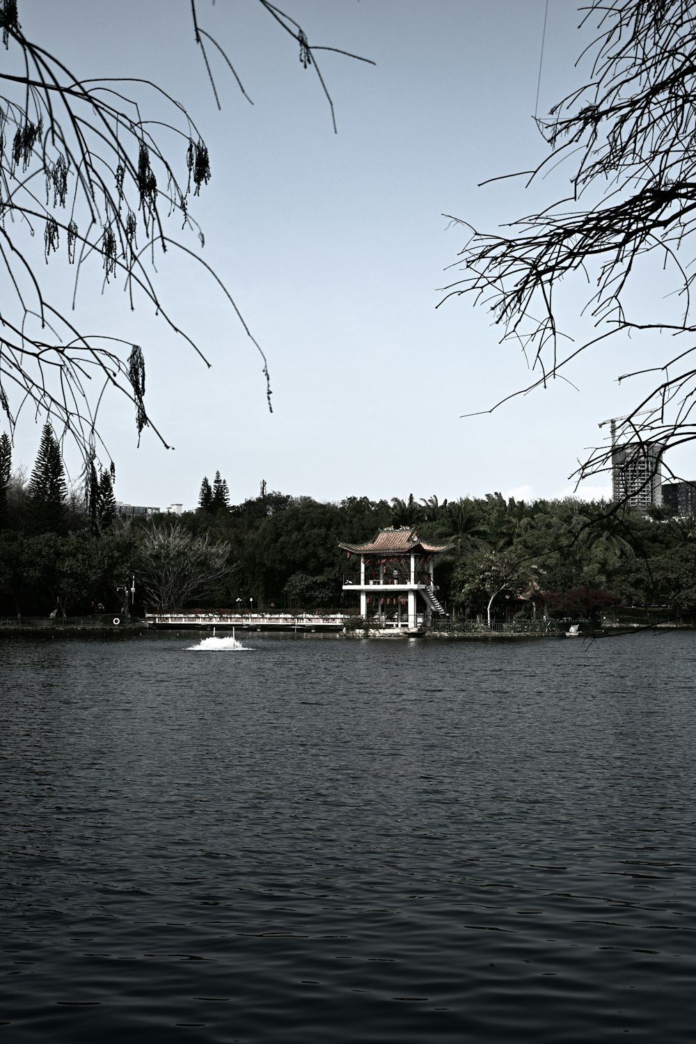 a large body of water surrounded by trees