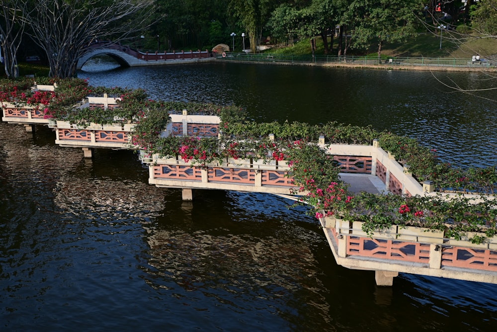 a group of benches with plants on them