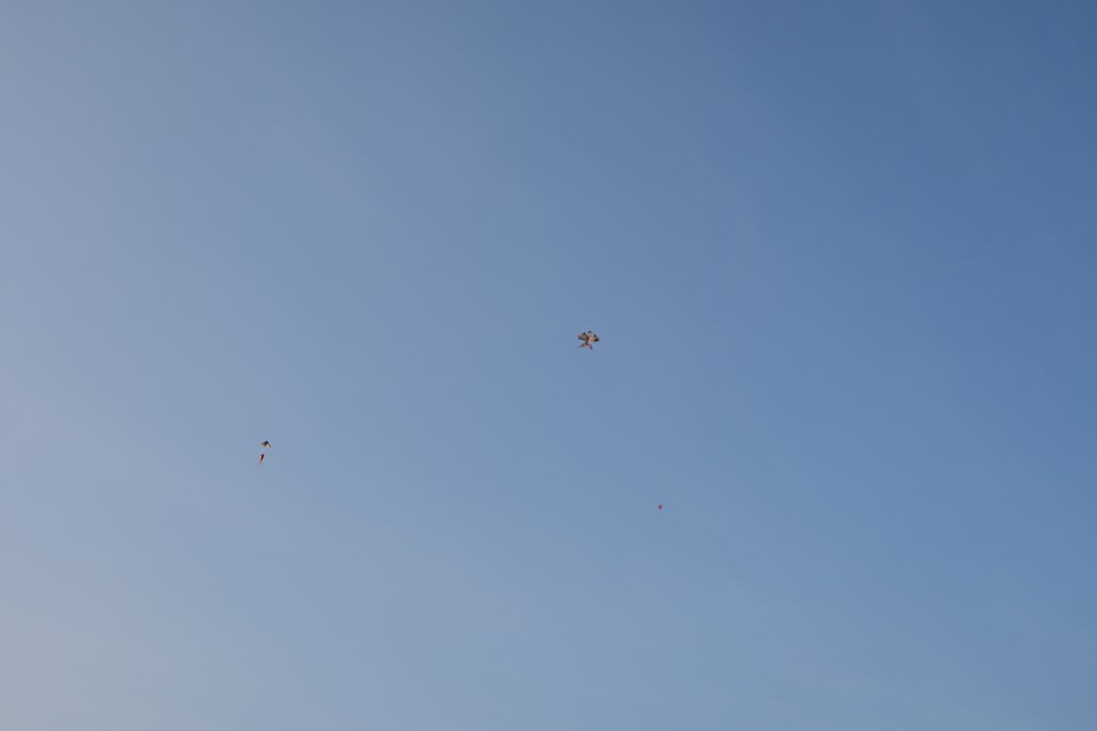 a group of kites flying through a blue sky