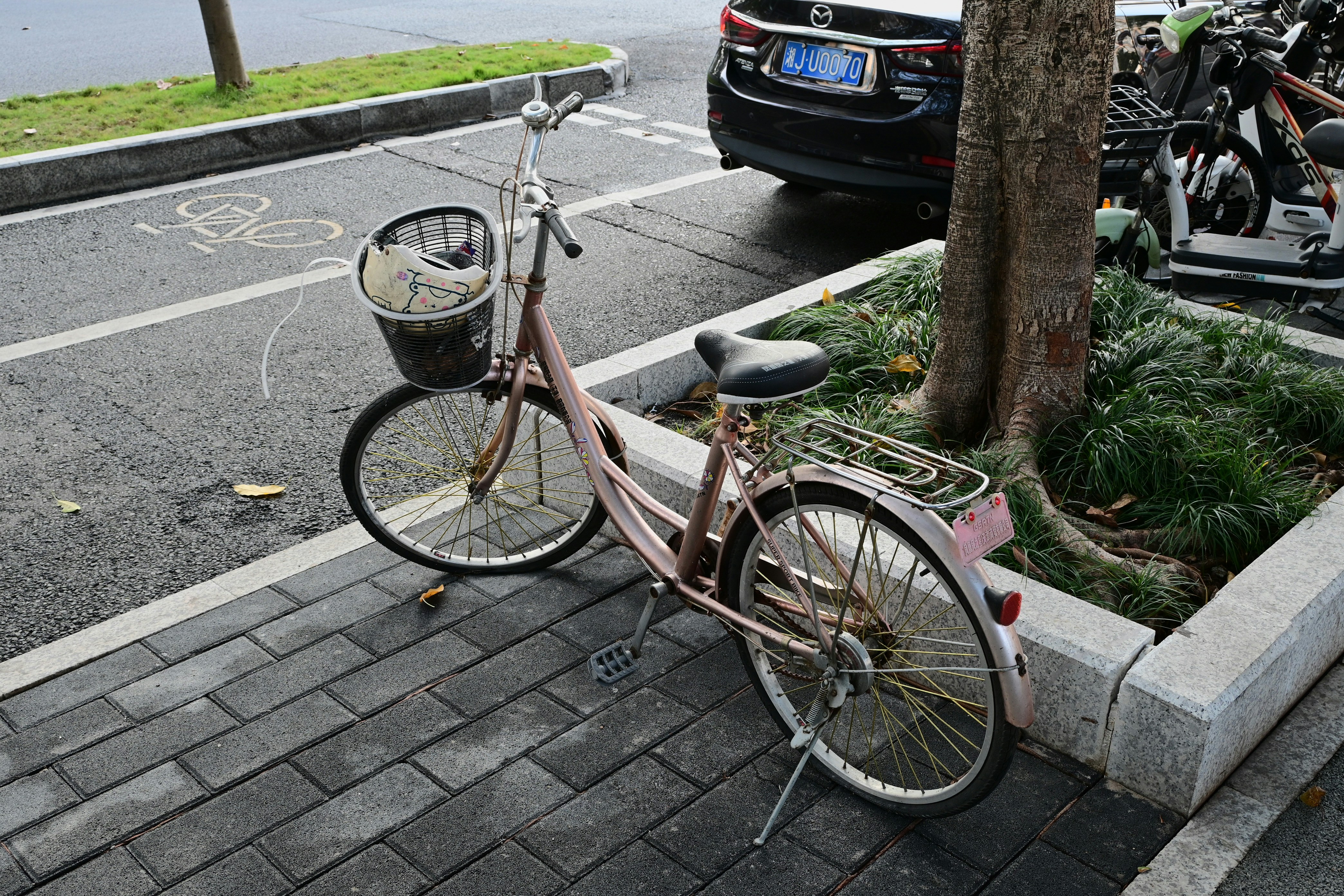 a pink bicycle parked next to a tree on a sidewalk