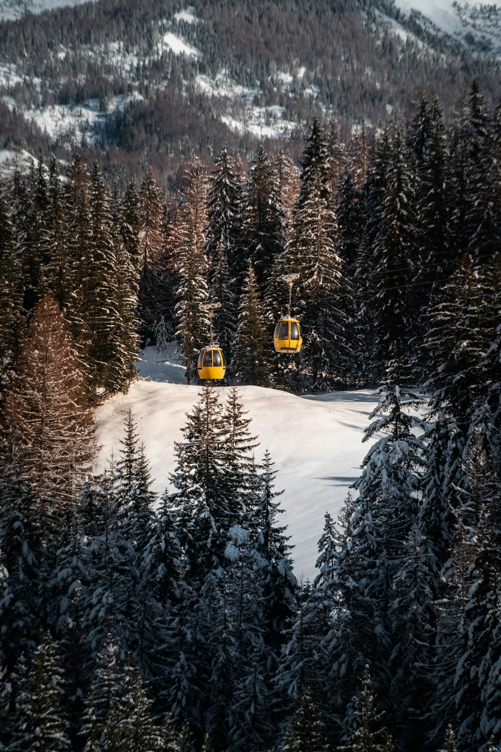 a couple of yellow trains traveling through a snow covered forest