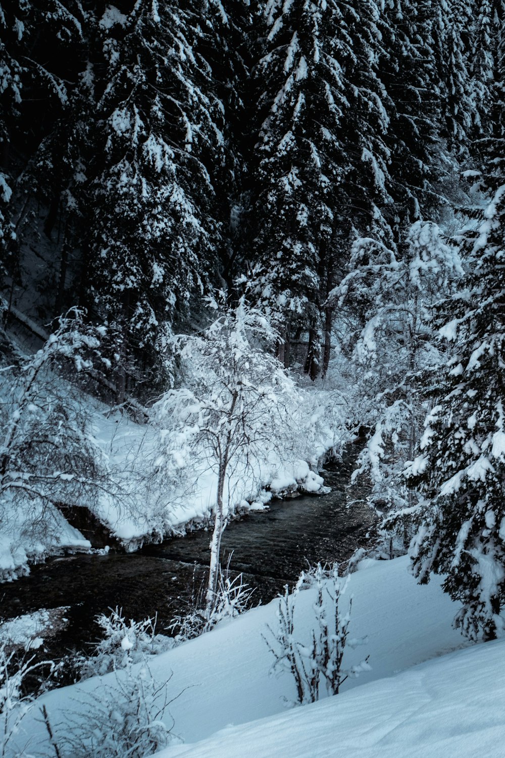 a man riding skis down a snow covered slope