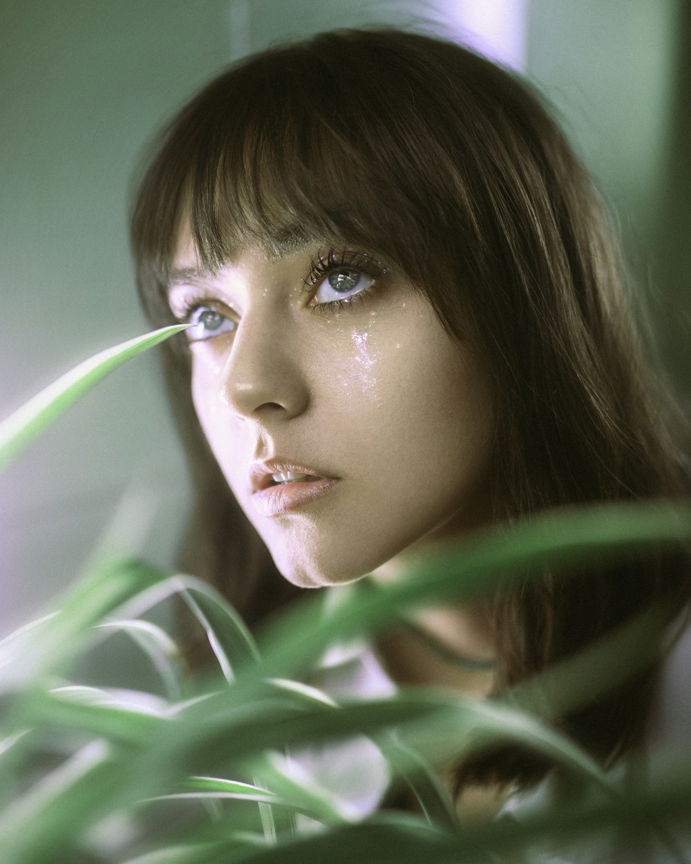a close up of a person near a plant
