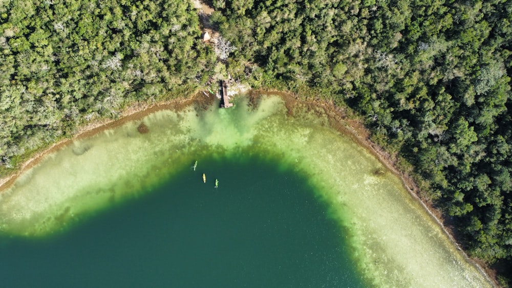 an aerial view of a lake surrounded by trees