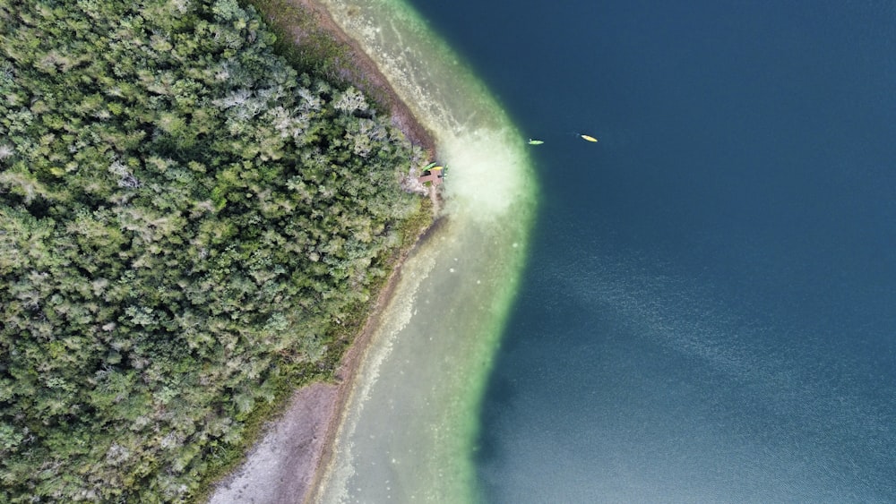 uma vista aérea de um corpo de água cercado por árvores