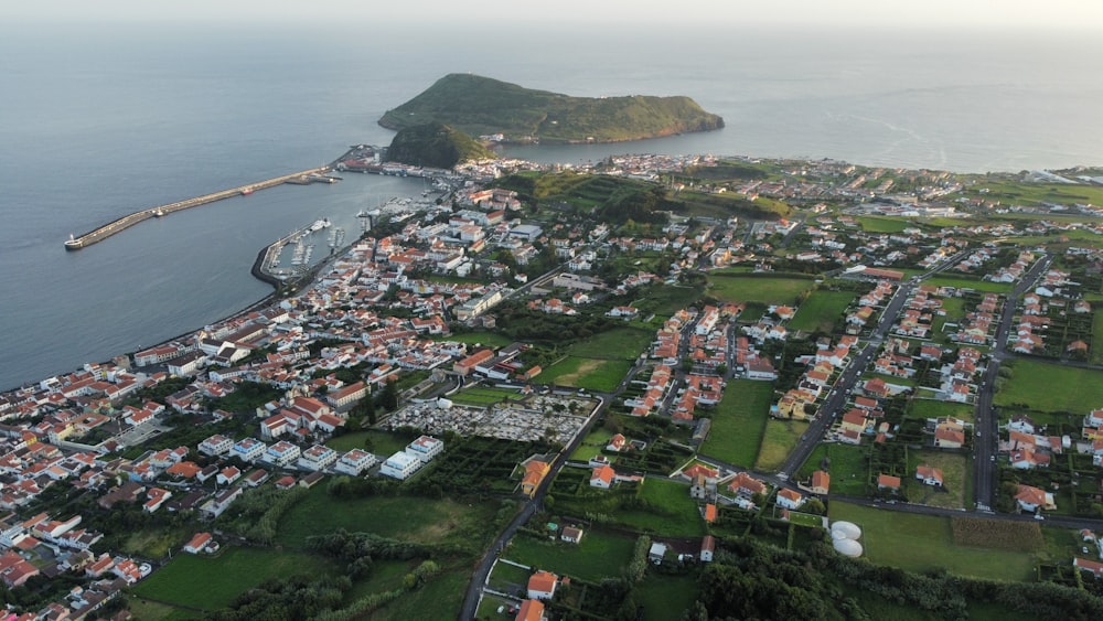 an aerial view of a small town by the ocean