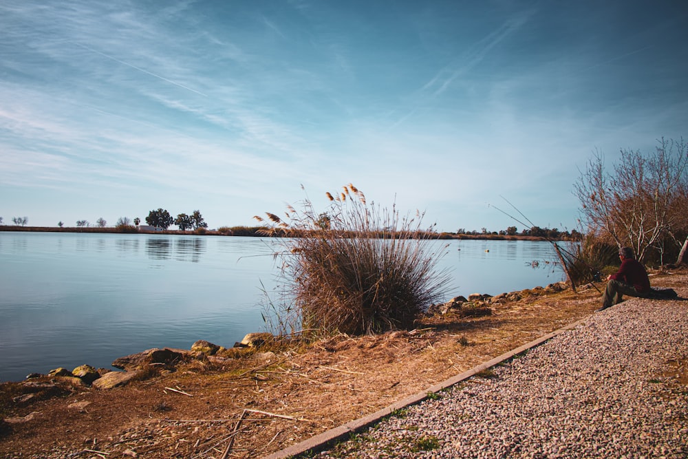 a person sitting on the shore of a lake