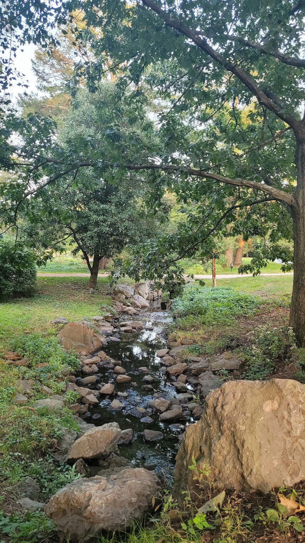 a stream running through a lush green park