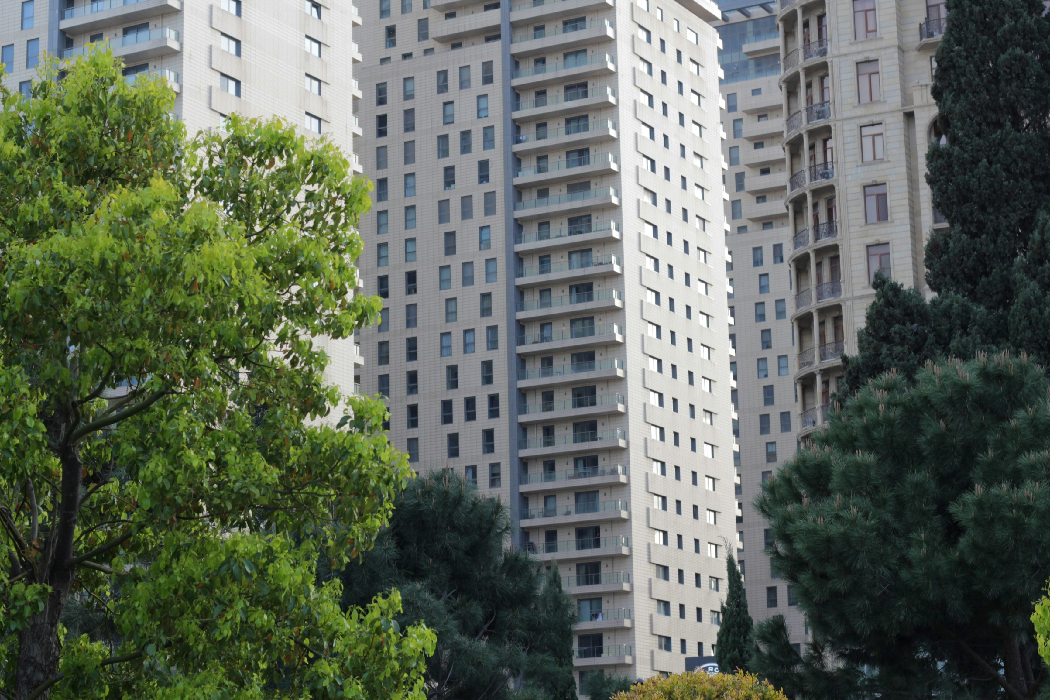 Photo by thesilvafocus