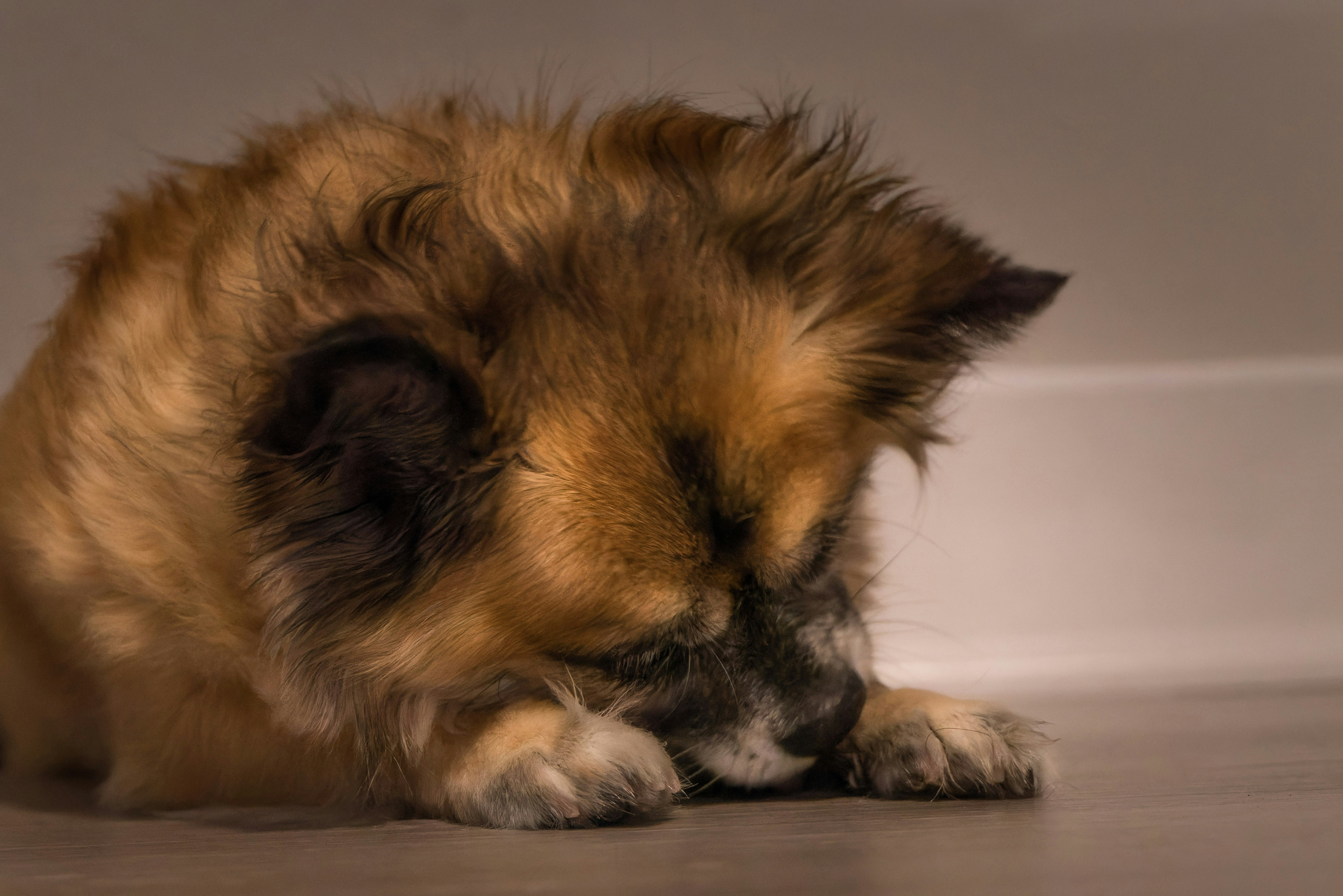 Photo by karographix