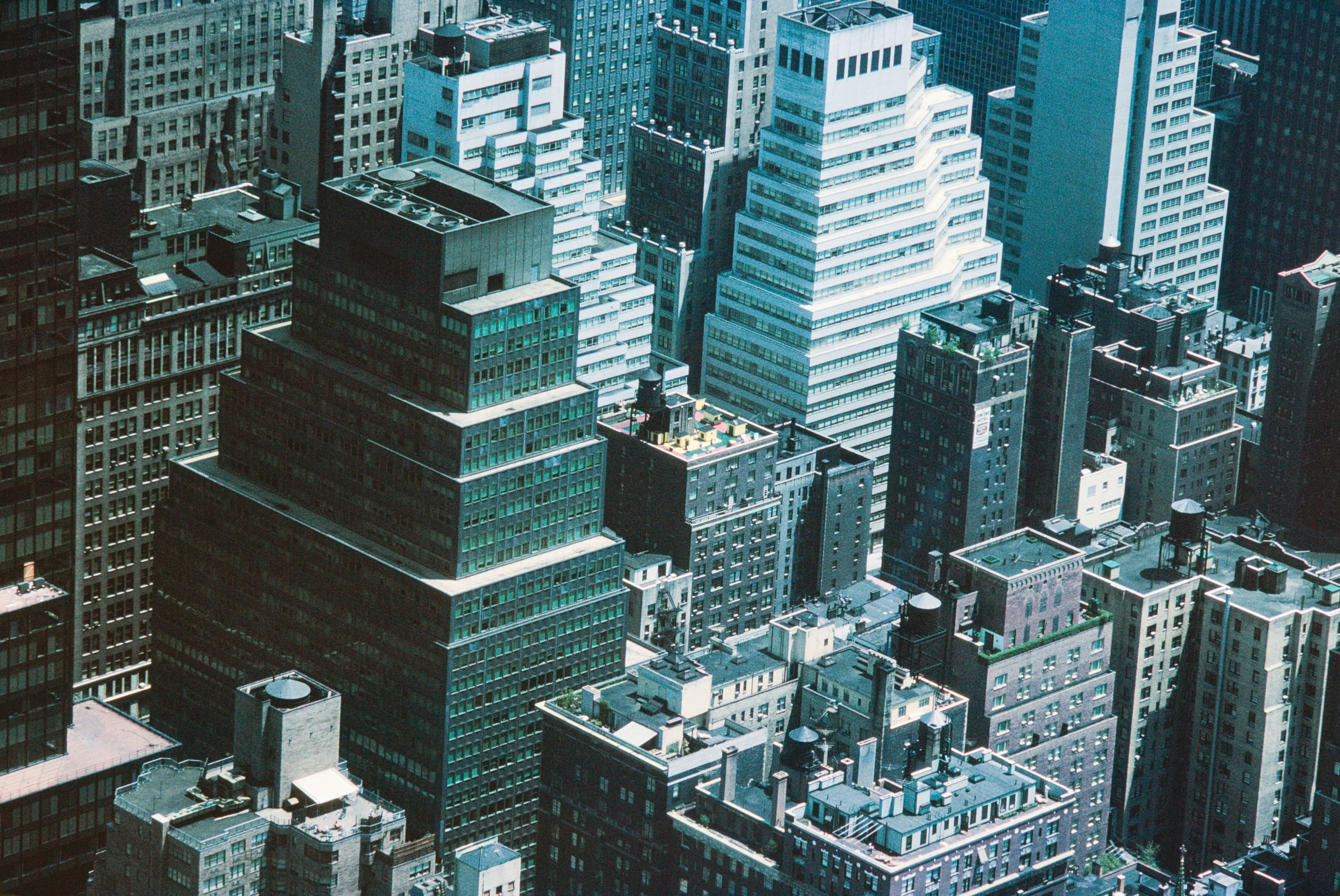 Description of the image