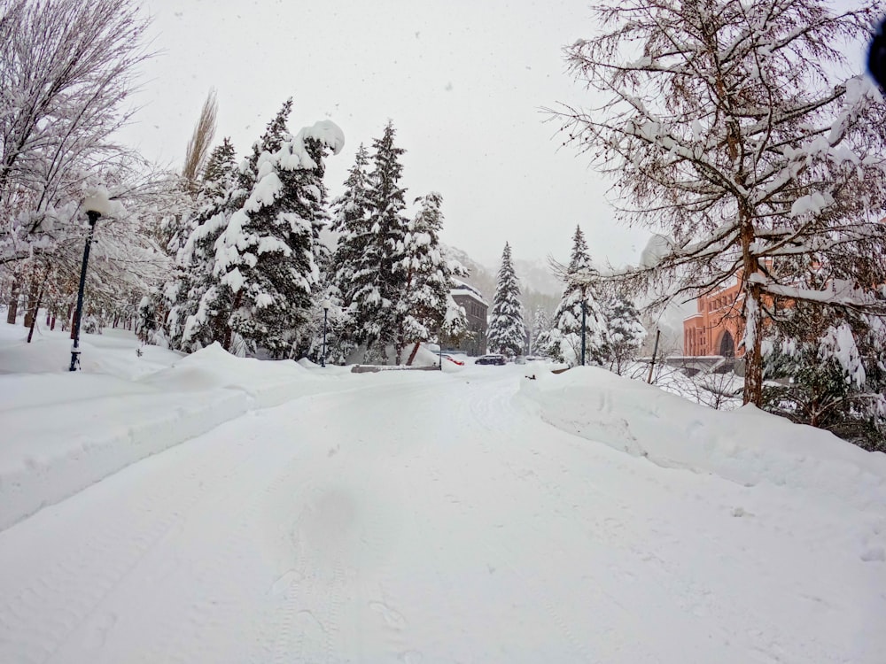 a snow covered road with trees in the background