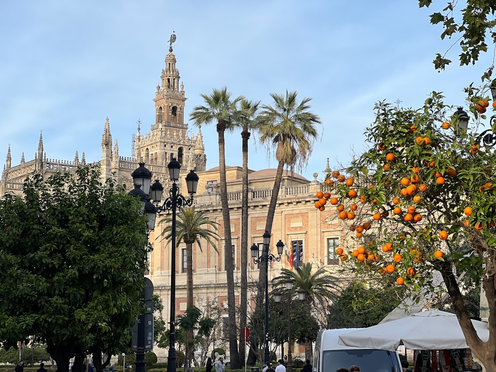 an orange tree in front of a large building