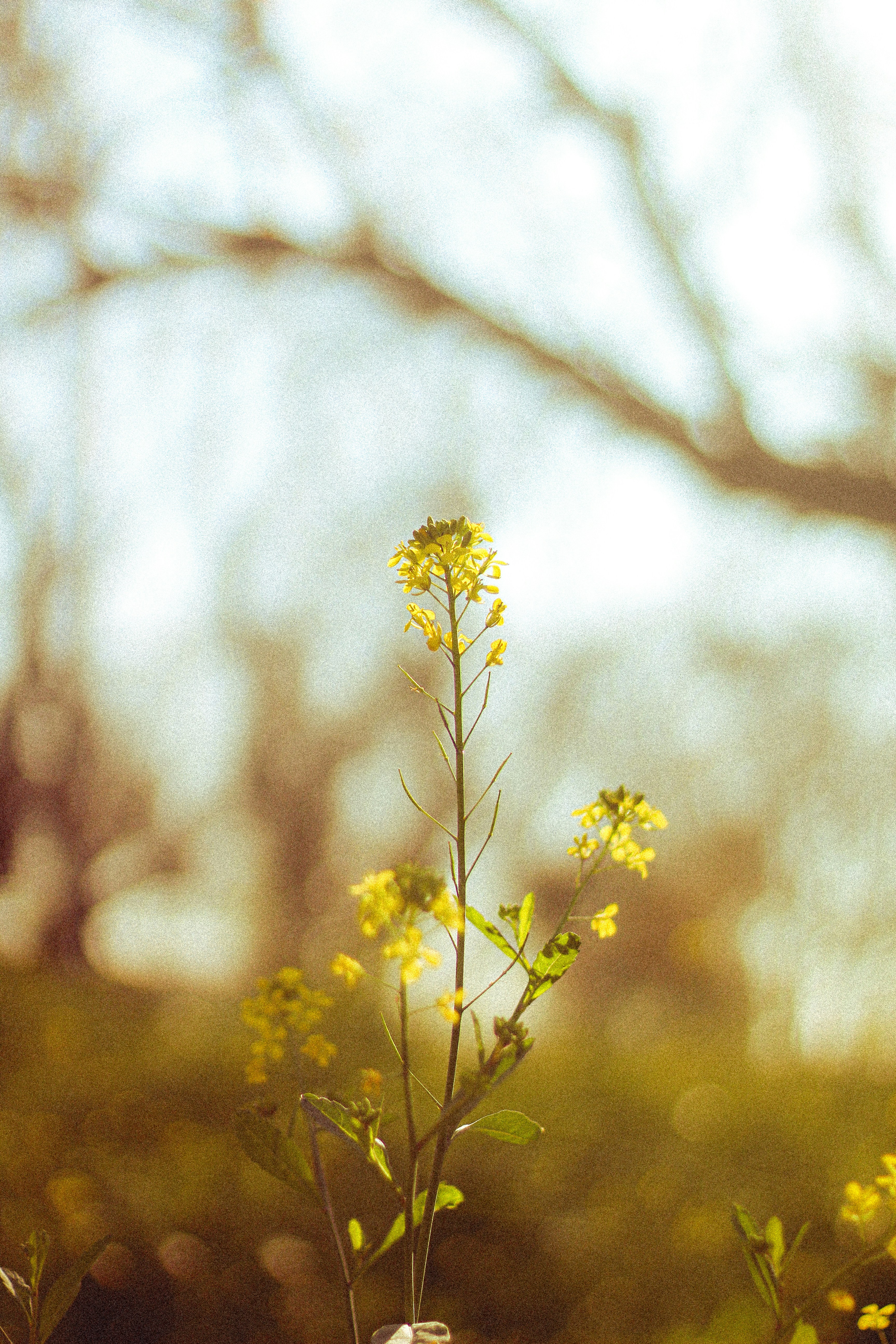 Photo by aalsee_balak