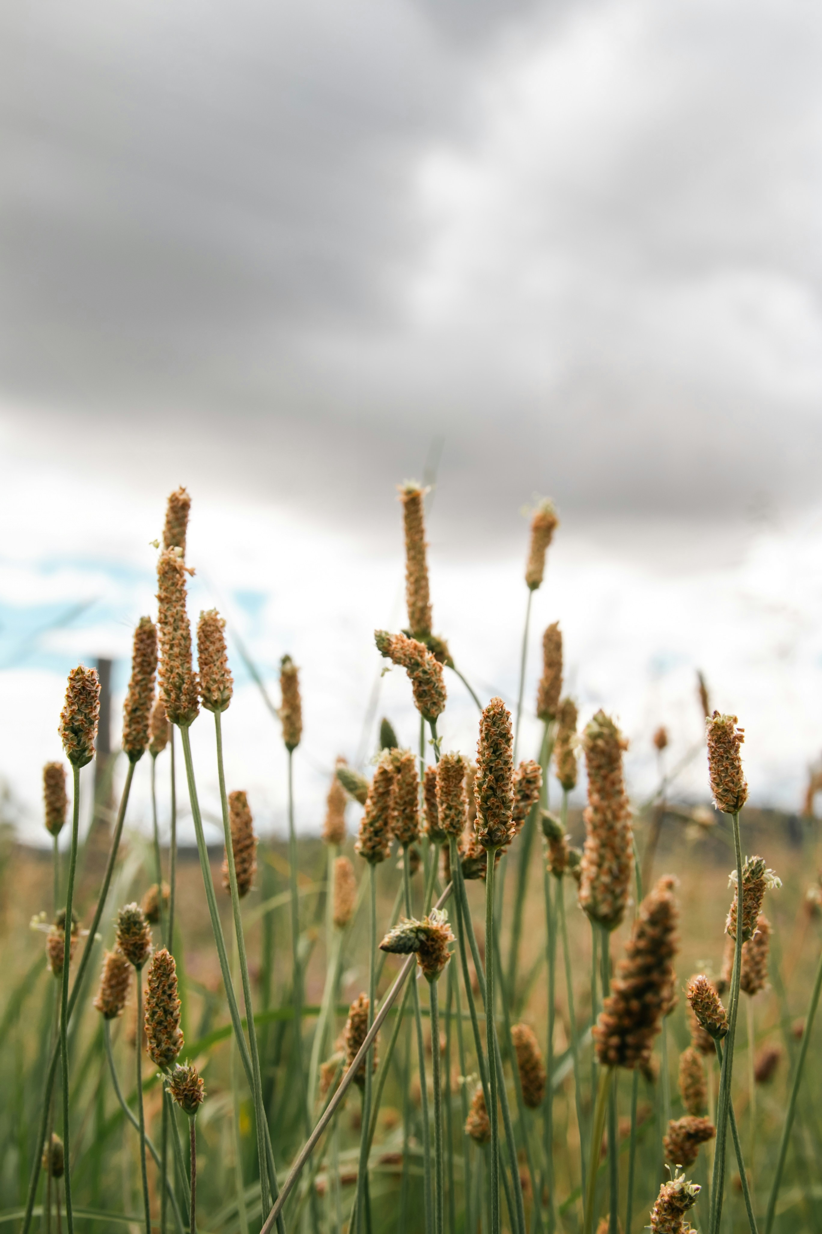 Photo by storyofeddie