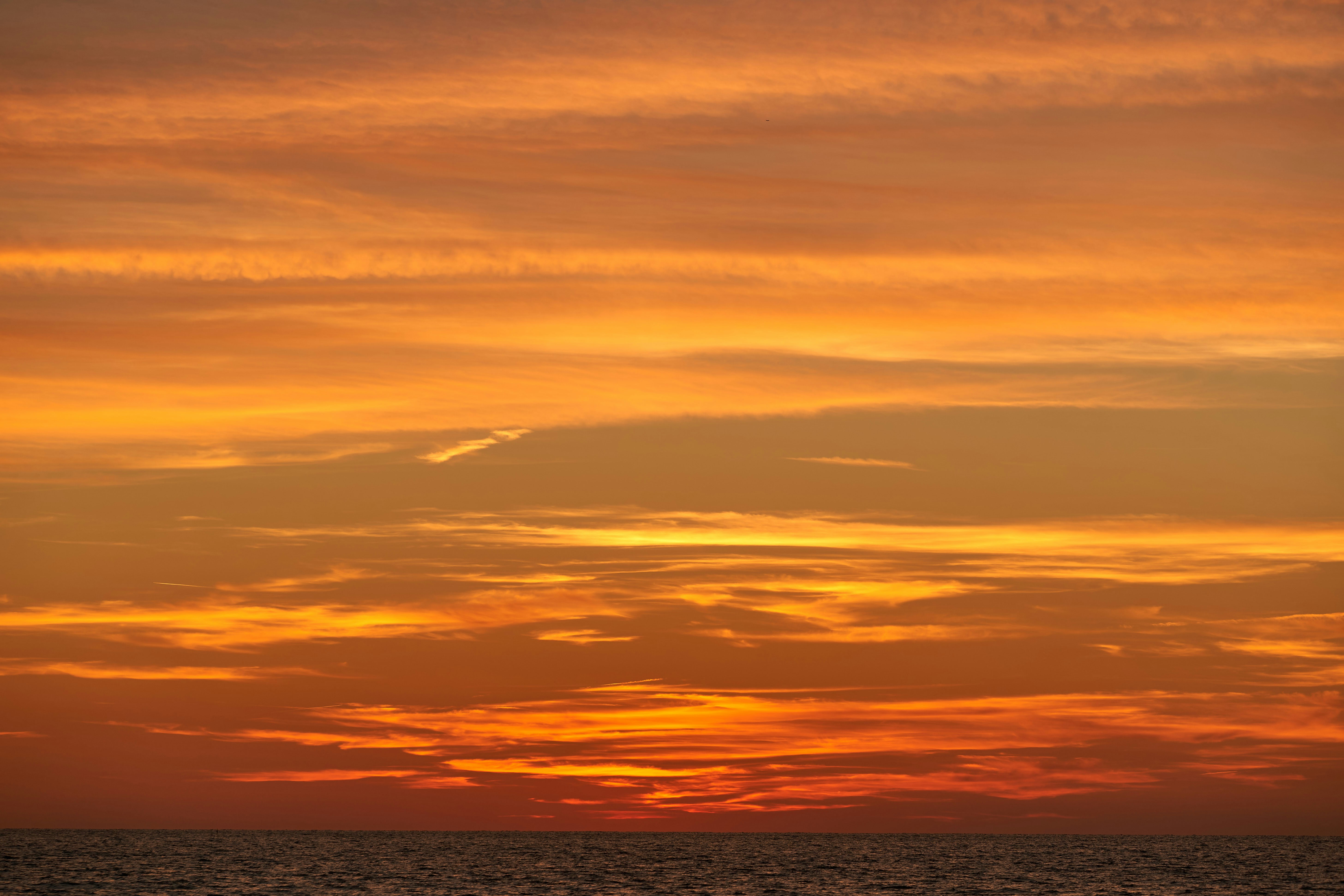 Photo by wolfgang_hasselmann