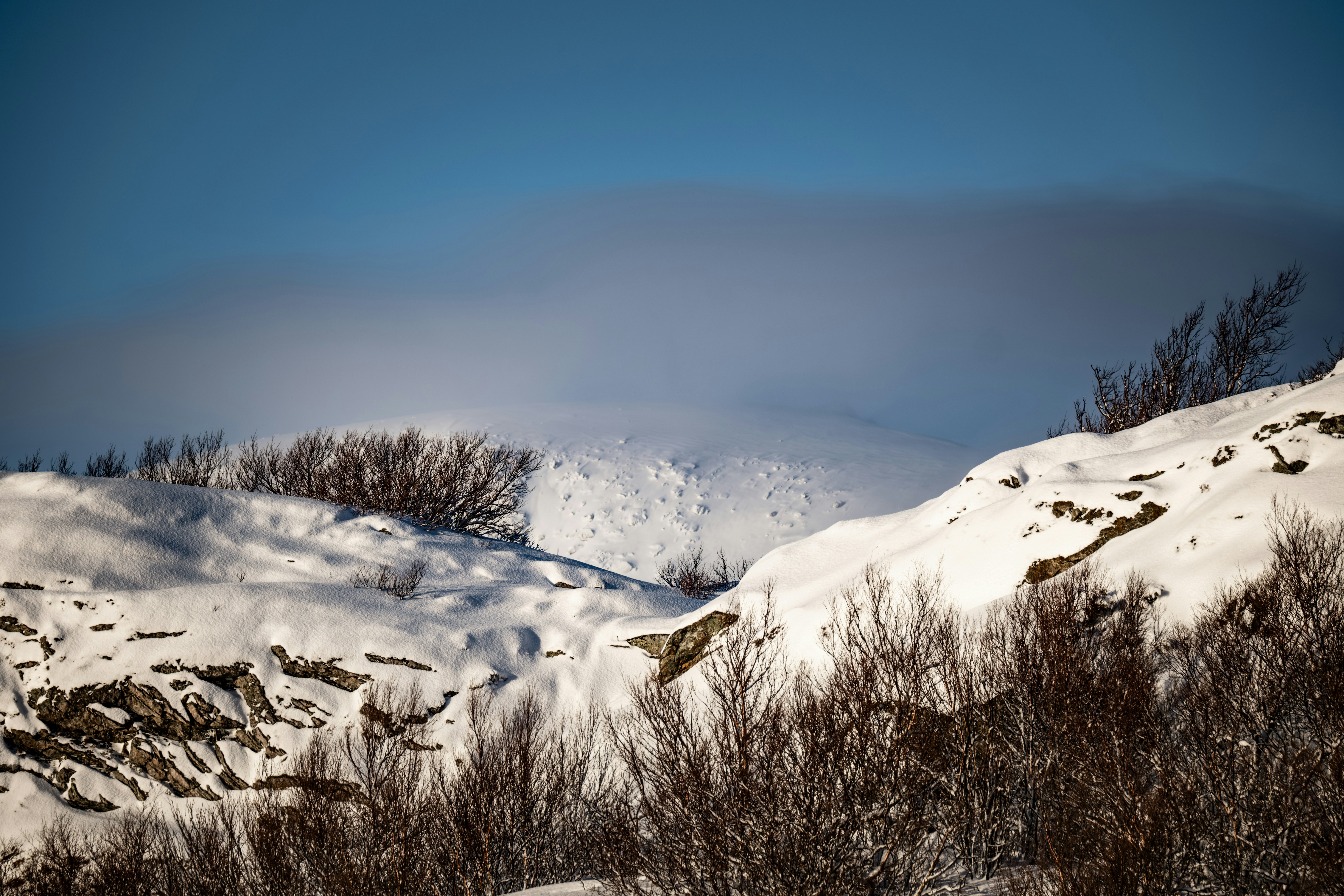 Photo by francesco_ungaro