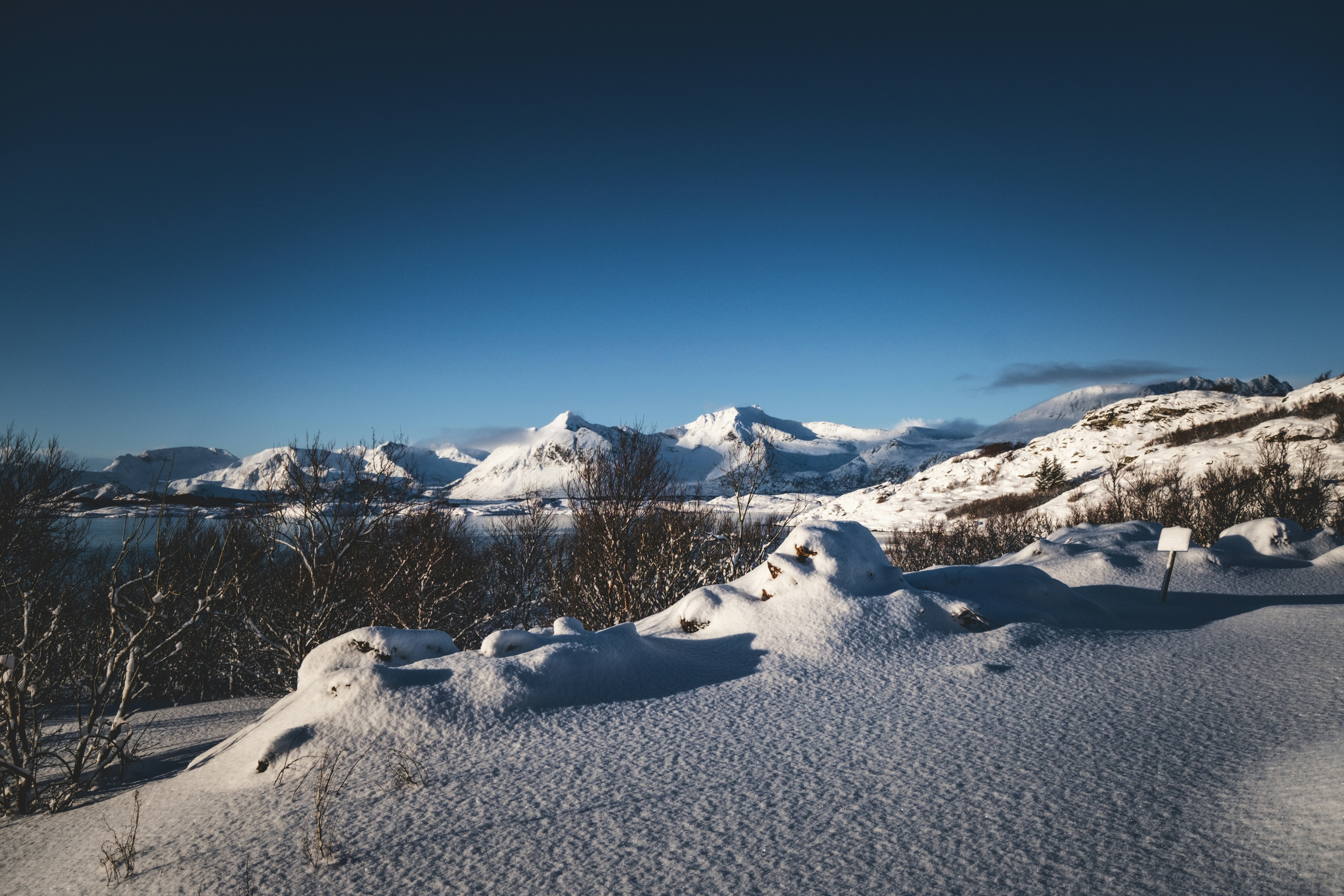 Photo by francesco_ungaro