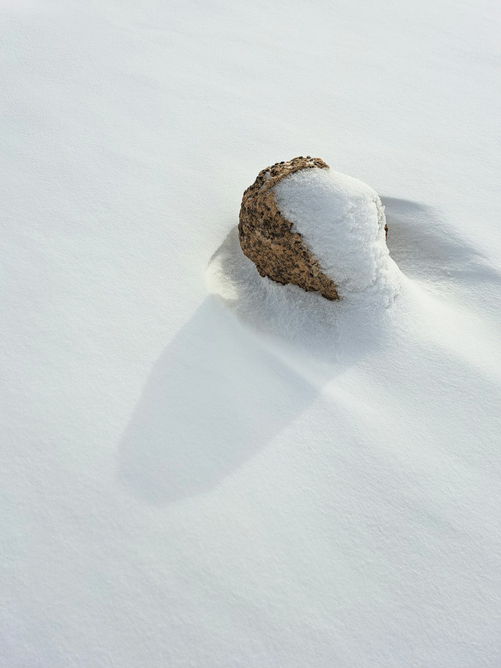 a rock covered in snow on a snowy surface