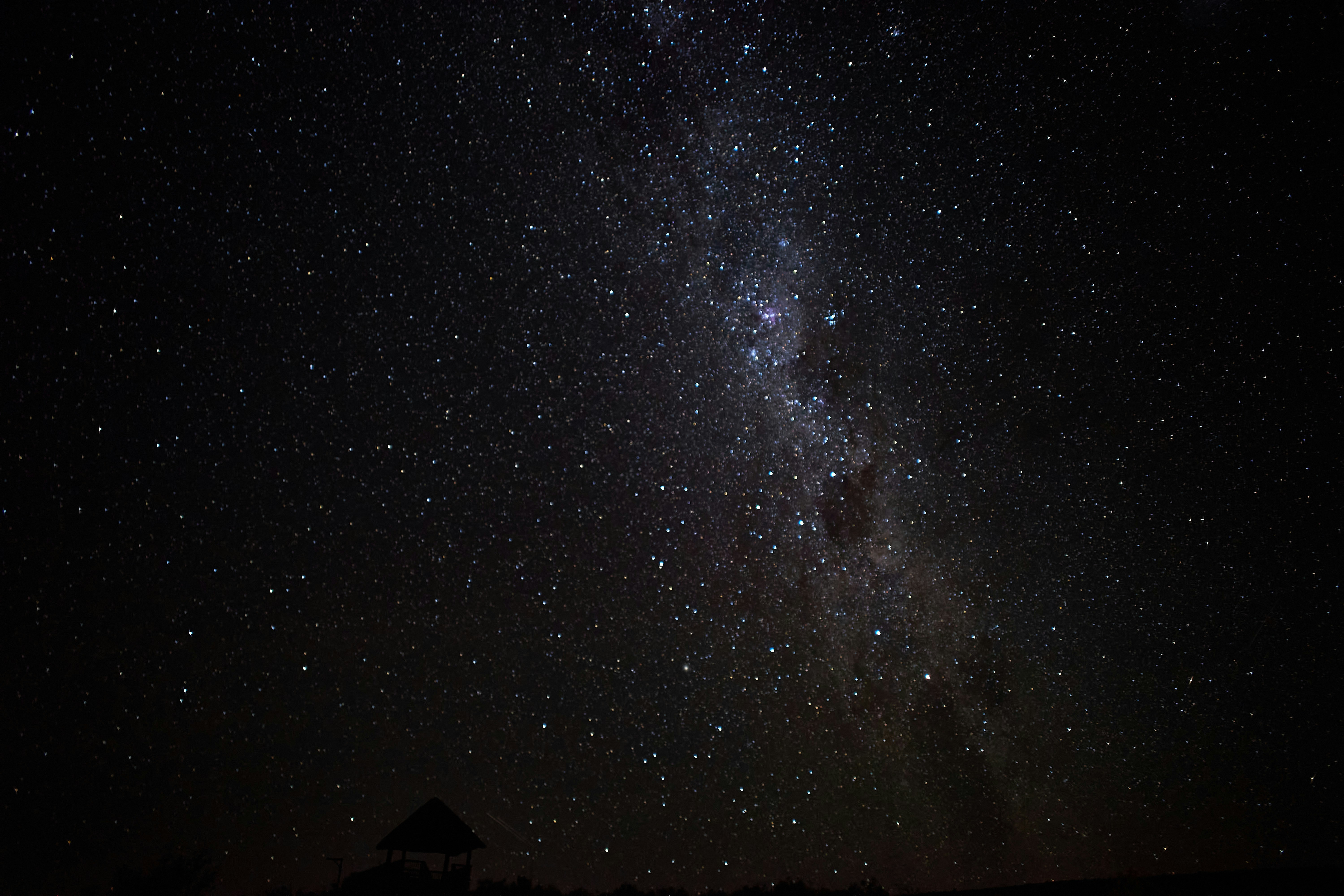 Photo by wolfgang_hasselmann