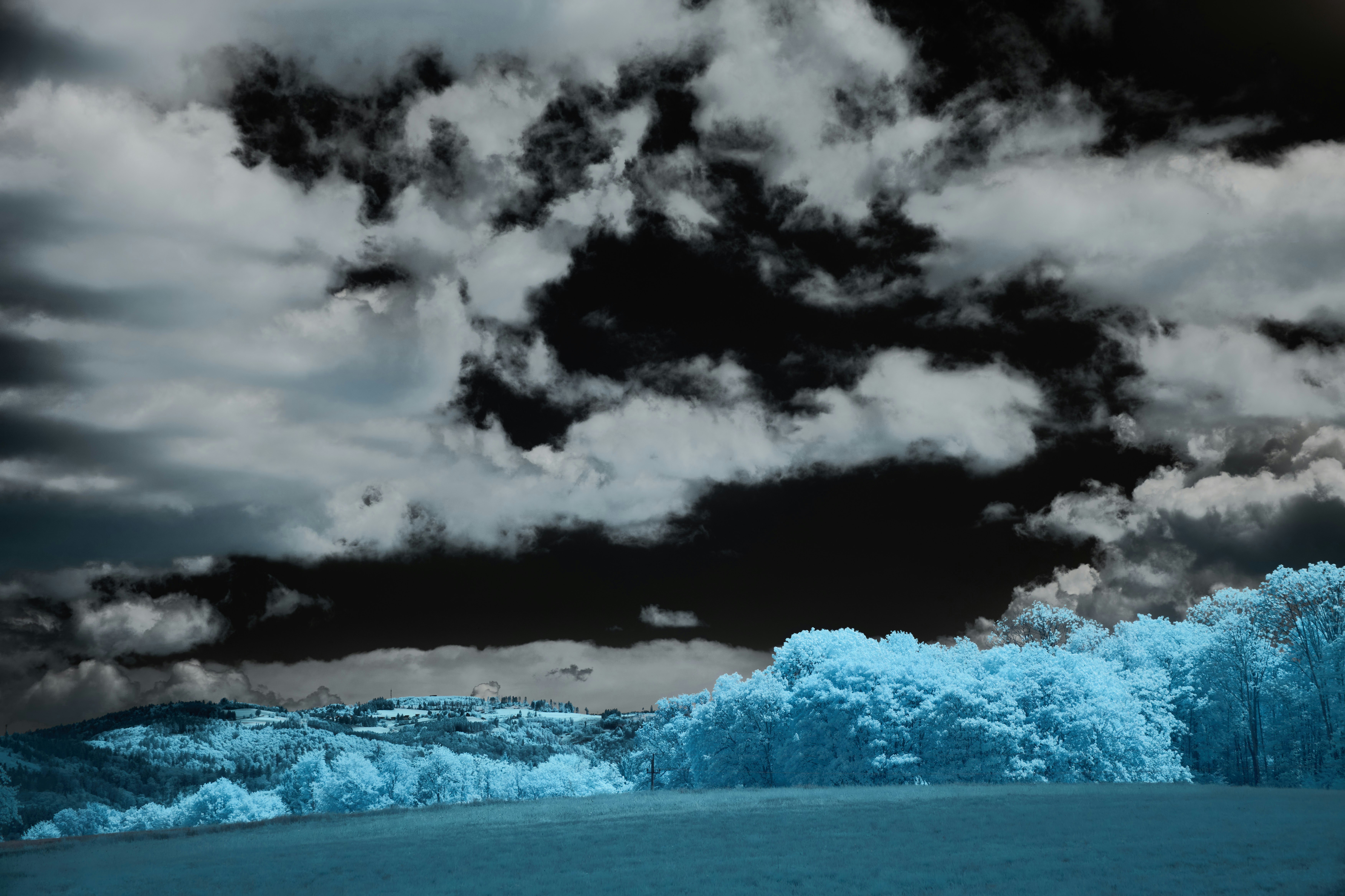 Photo by wolfgang_hasselmann