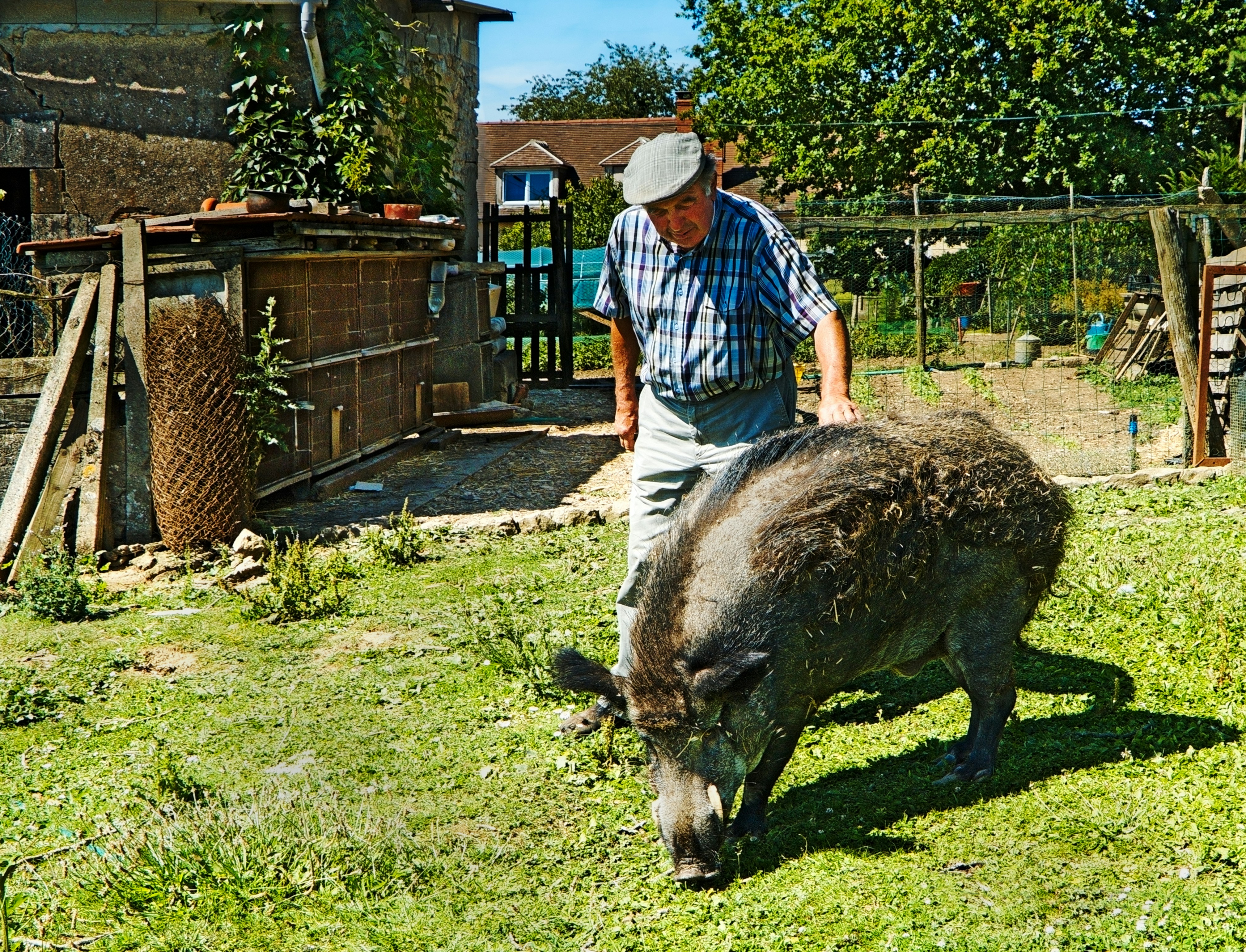 a man standing next to an ostrich on a lush green field