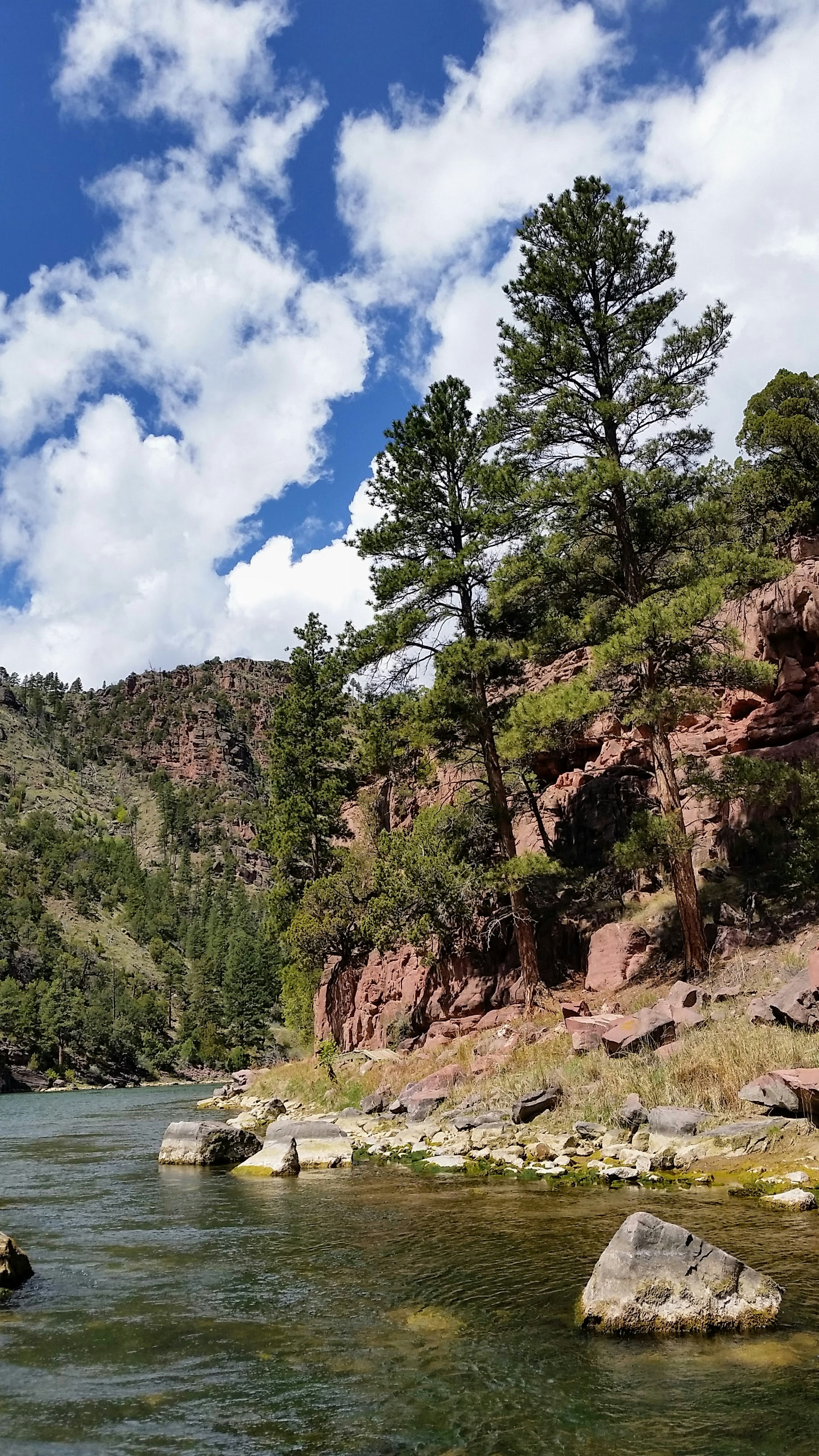 a body of water surrounded by trees and rocks