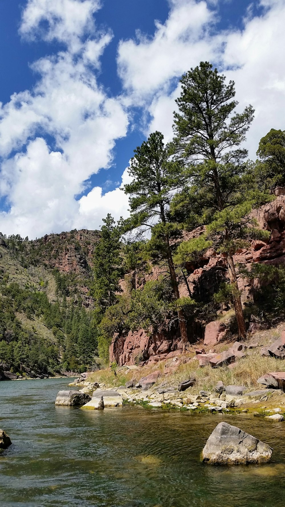 a body of water surrounded by trees and rocks