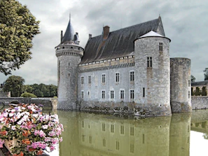 a castle with a pond in front of it